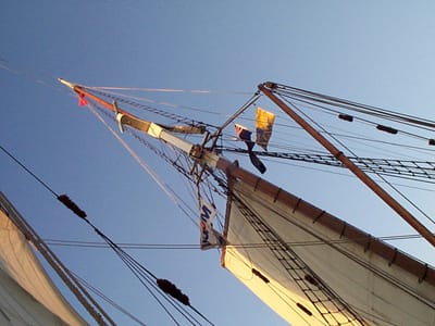 P002017.JPG