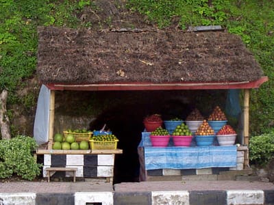 P001360.JPG