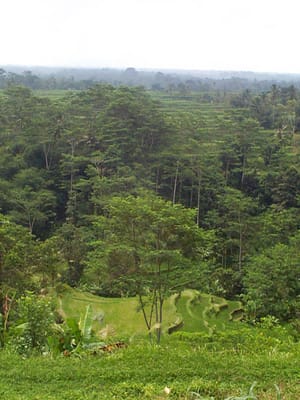 P001362.JPG