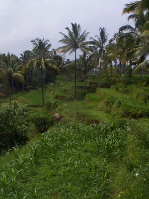 P001363.JPG