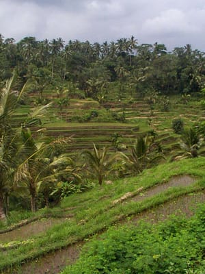 P001364.JPG