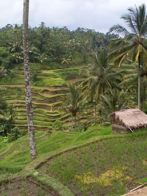 P001365.JPG