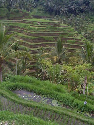 P001366.JPG