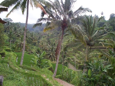 P001367.JPG