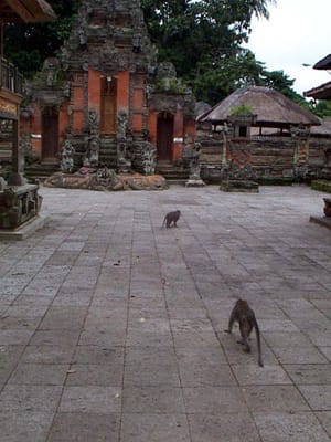 P001378.JPG
