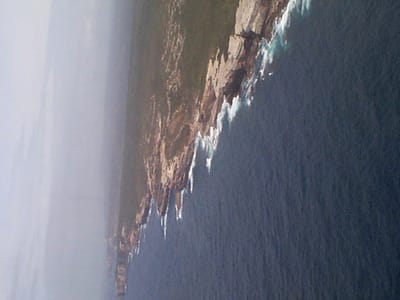 P001331.JPG