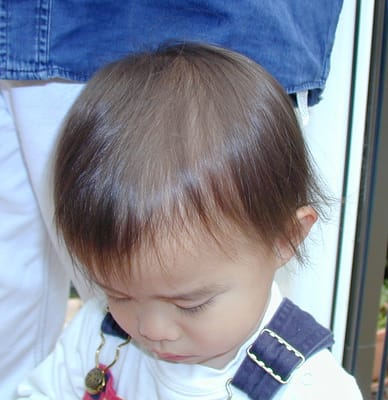 PA310857.JPG