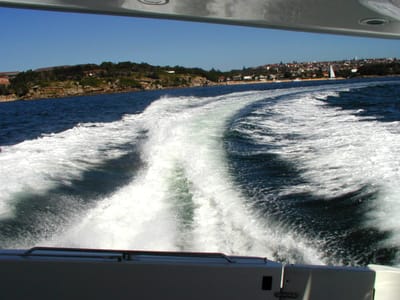 PA290781.JPG
