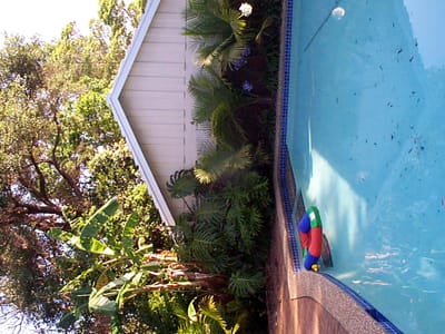 P002180.jpg