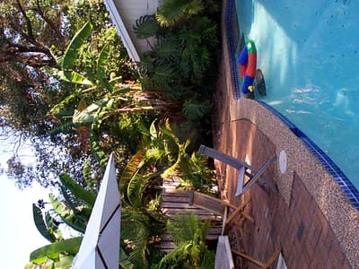 P002181.jpg