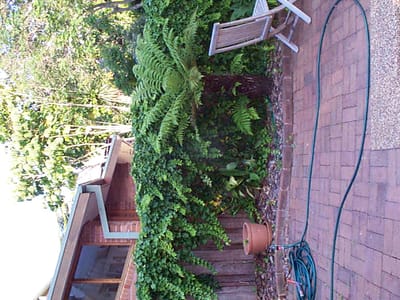 P002184.jpg