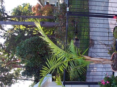P002194.jpg