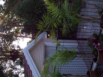 P002195.jpg