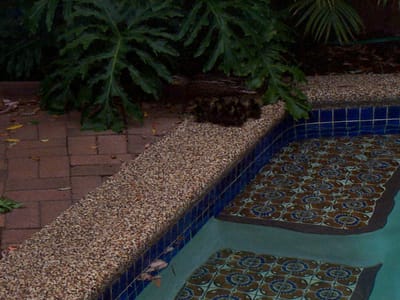 P000910.JPG