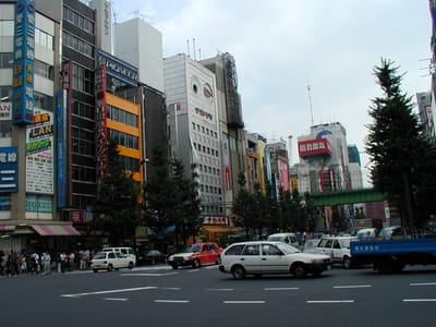 P1010095.JPG