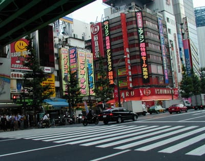 P1010096.JPG
