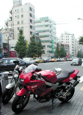 P1010102.JPG