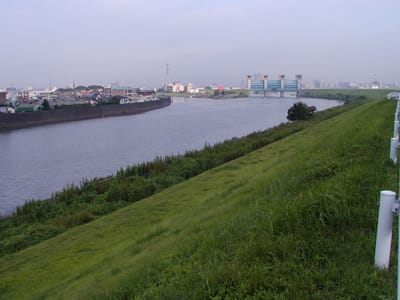 P1010134.JPG