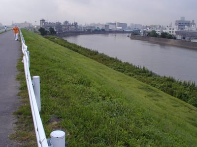 P1010135.JPG
