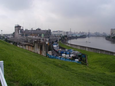 P1010137.JPG