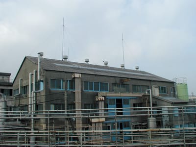 P1010140.JPG