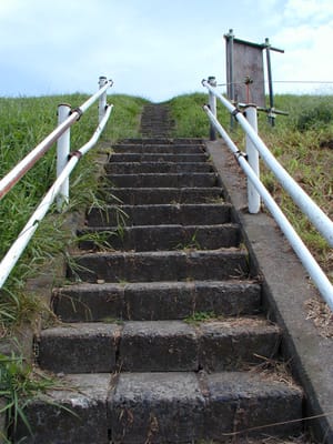 P1010219.JPG