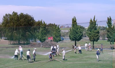 P1010178.JPG