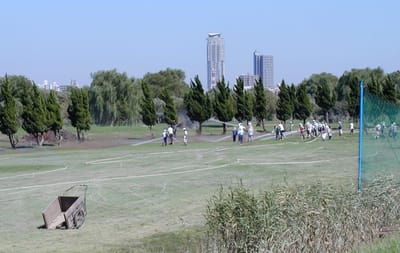 P1010179.jpg