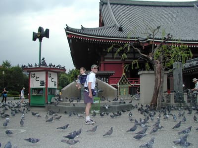 P1010234.JPG