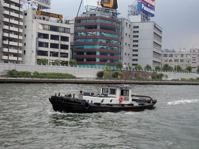 P1010246.JPG