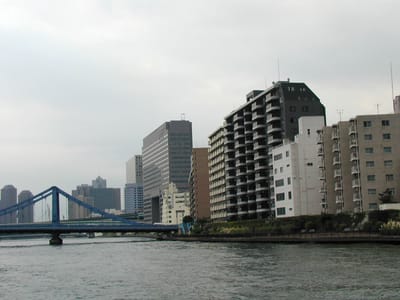 P1010248.JPG