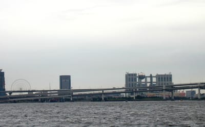 P1010260.JPG