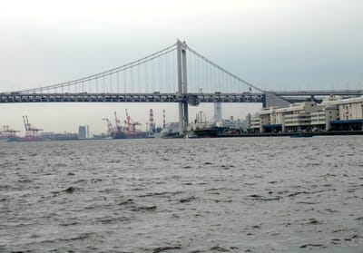 P1010261.JPG
