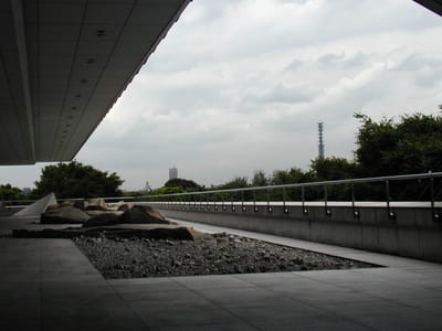 P9070131.JPG