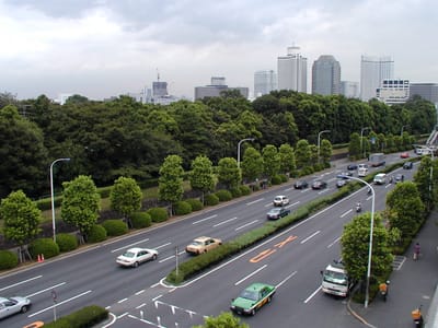 P9070133.JPG