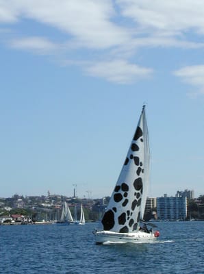 P1010063.JPG