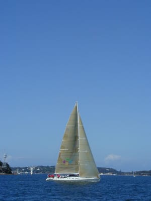 P1010066.JPG