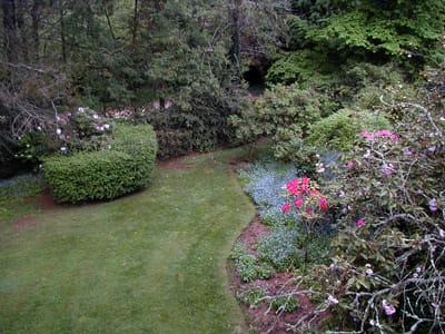 PA100565.JPG