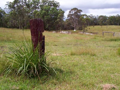 P002599.JPG