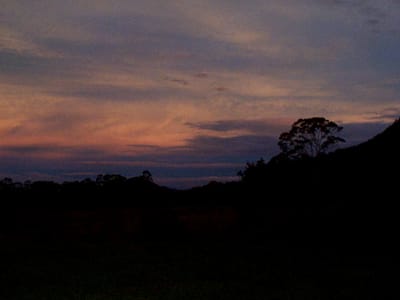 P002603.JPG