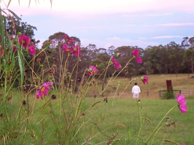 P002604.JPG