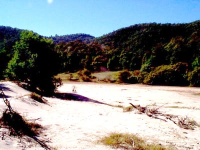 P002822.JPG