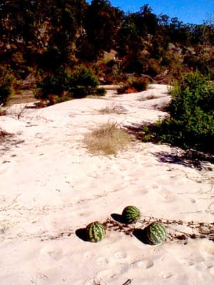 P002823.JPG
