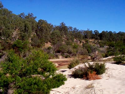 P002824.JPG