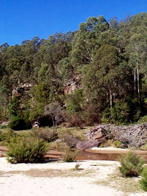 P002825.JPG