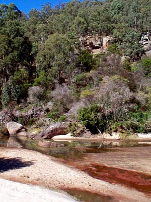P002826.JPG