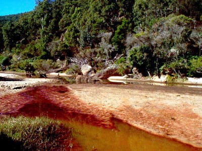 P002827.JPG