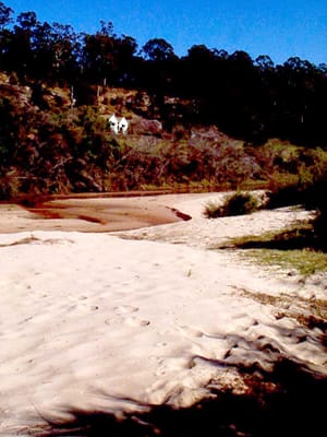 P002828.JPG