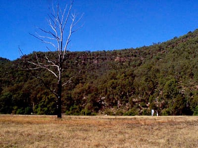 P002831.JPG