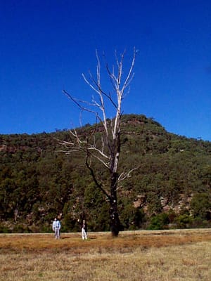 P002832.JPG